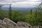 Александровская сопка, image of landscape/habitat.