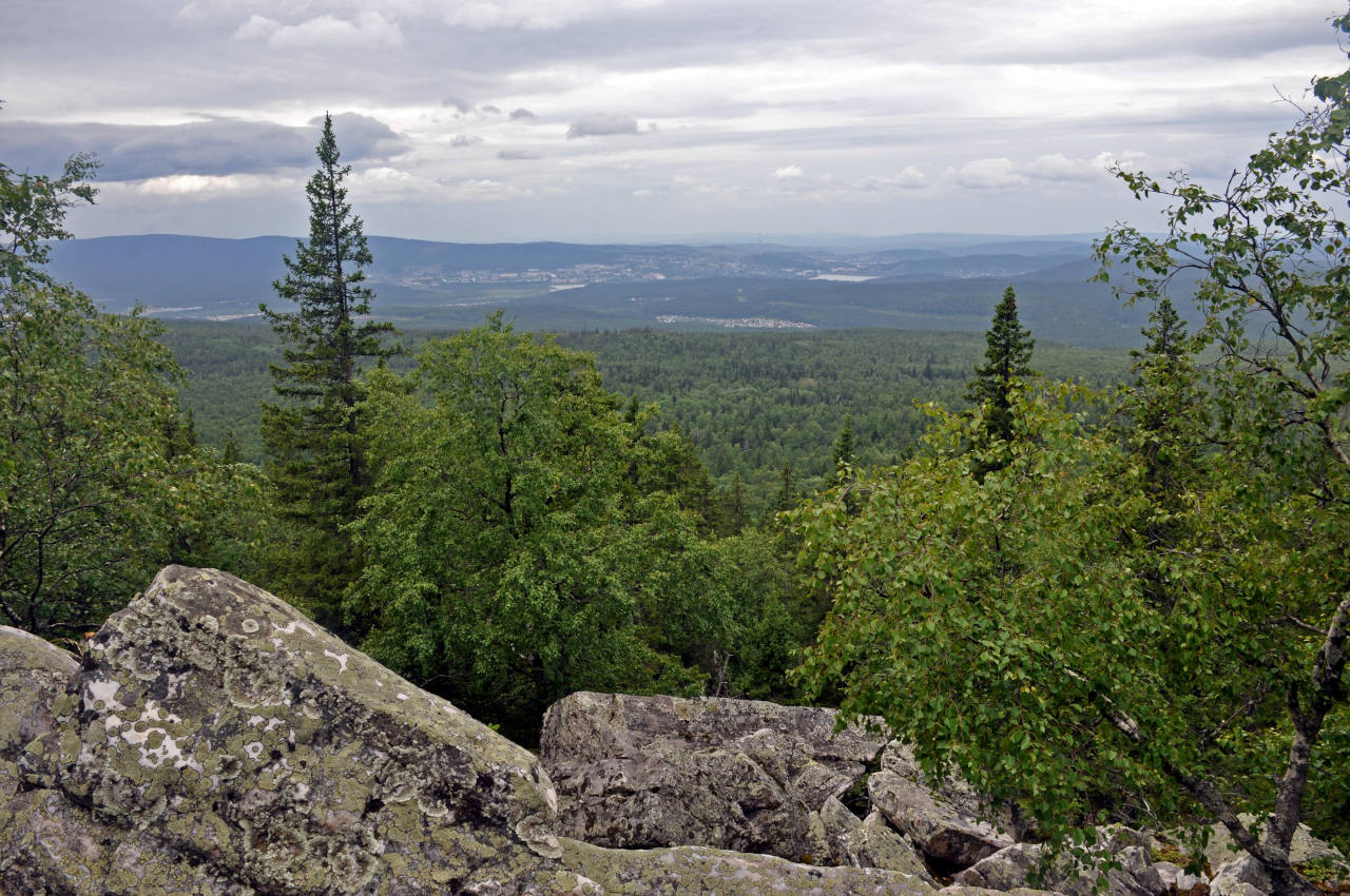 Александровская сопка, image of landscape/habitat.