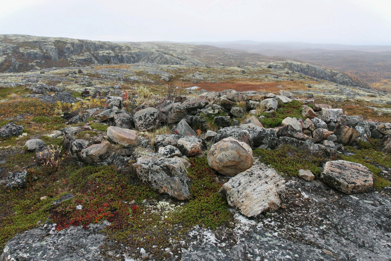 Высота 314.9, image of landscape/habitat.