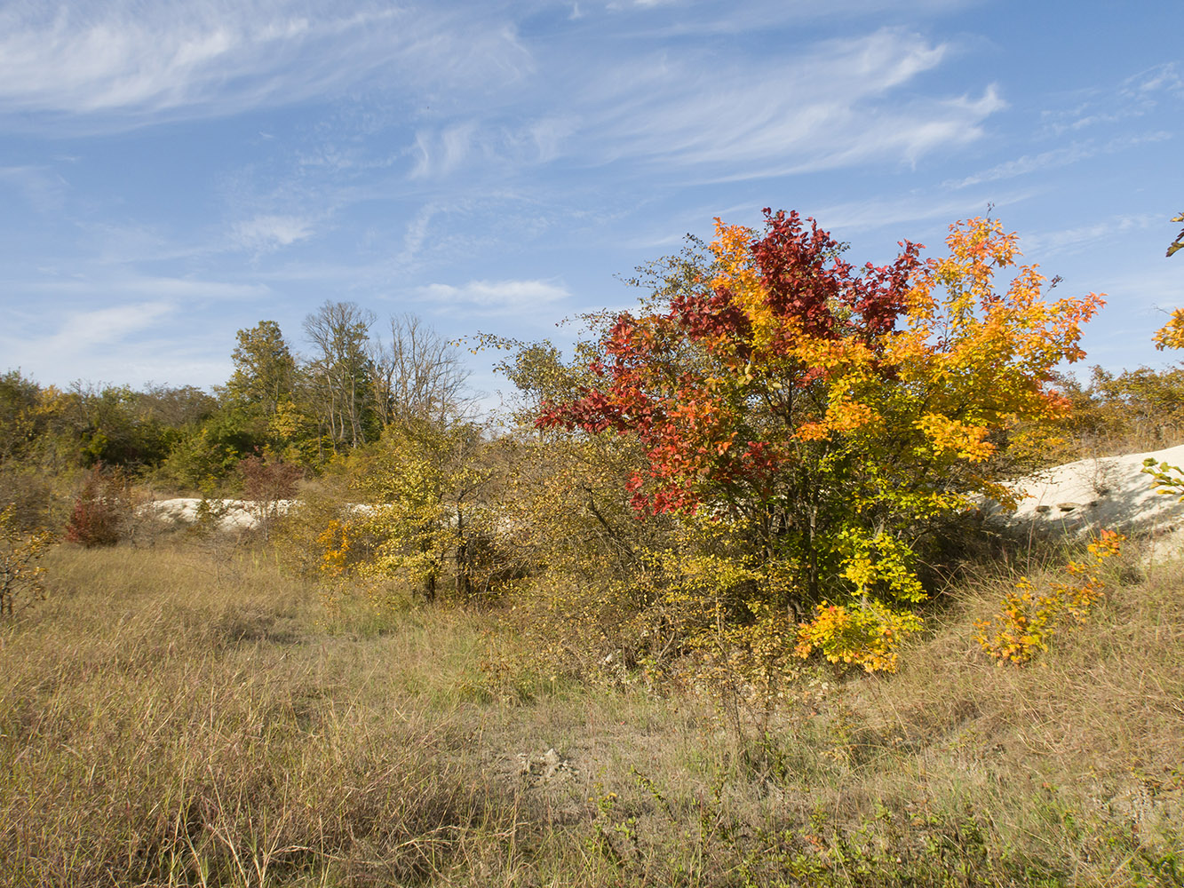 Карьер в Темрючках, image of landscape/habitat.