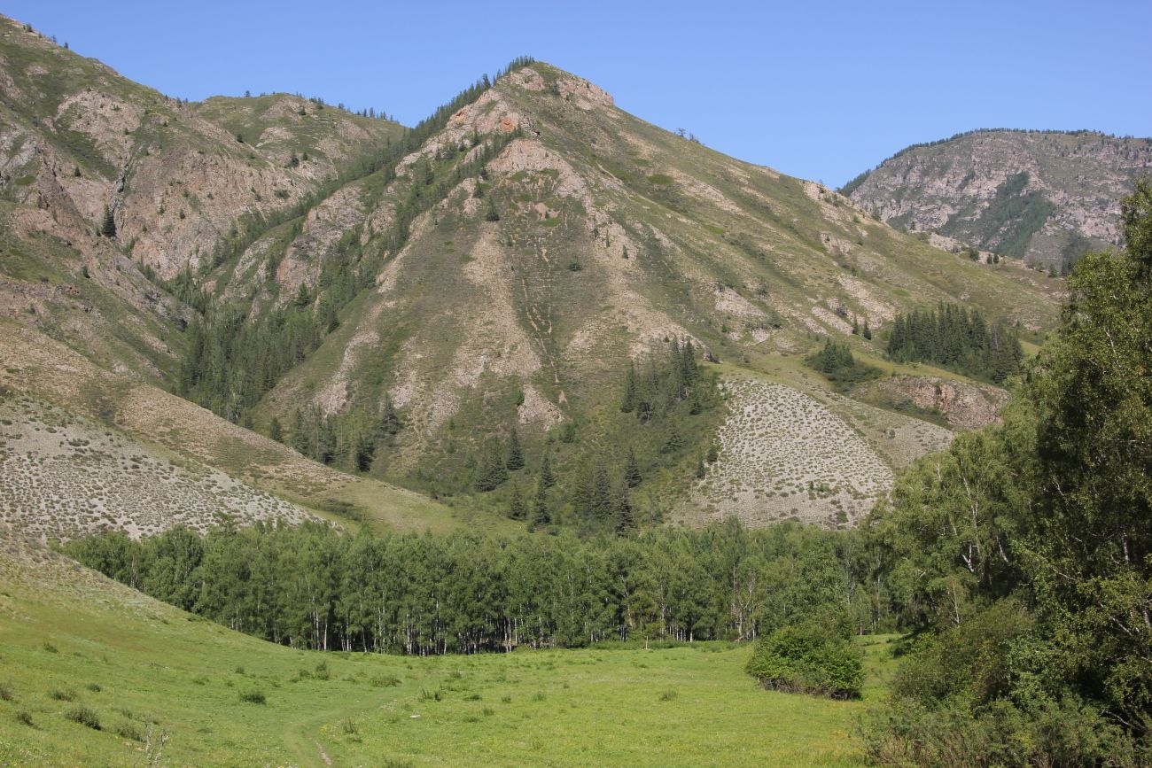 Окрестности реки Казнахта, image of landscape/habitat.