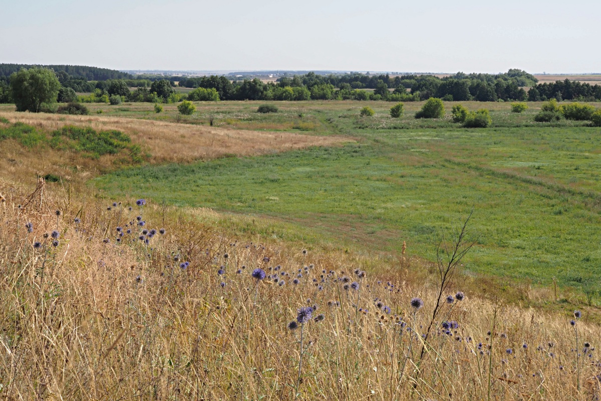 Долины рек Авраль, image of landscape/habitat.