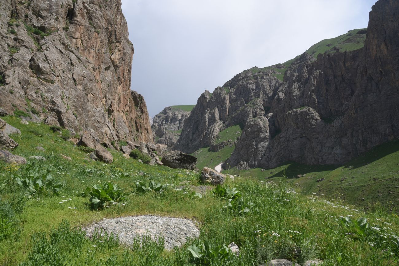 Несторианская церковь, image of landscape/habitat.