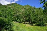 Окрестности храма Отхта, image of landscape/habitat.