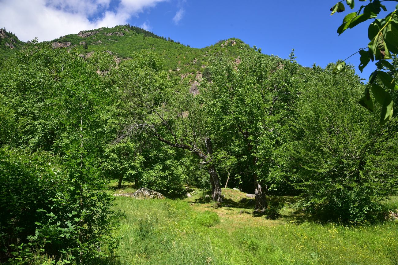 Окрестности храма Отхта, image of landscape/habitat.