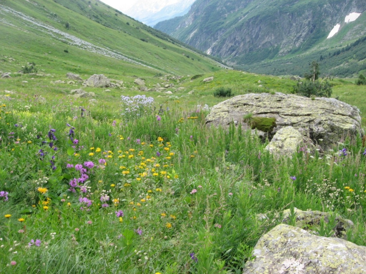 Ущелье Хутый, image of landscape/habitat.