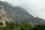 Image of landscape