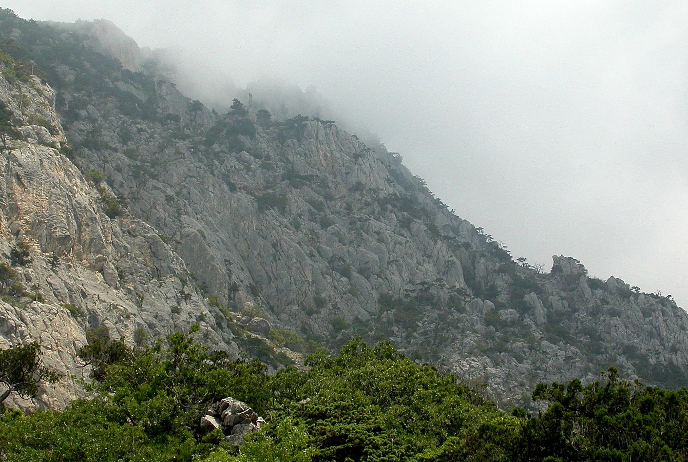 Батилиман, image of landscape/habitat.