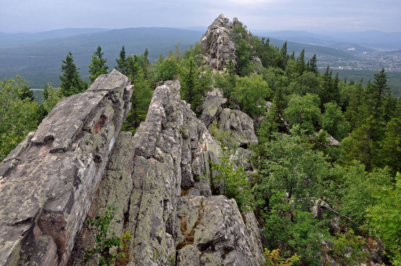 Александровская сопка, image of landscape/habitat.