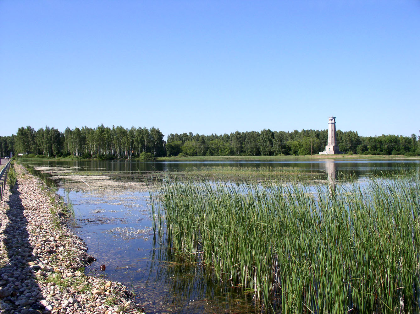 Озеро Лебяжье у Дубны, image of landscape/habitat.