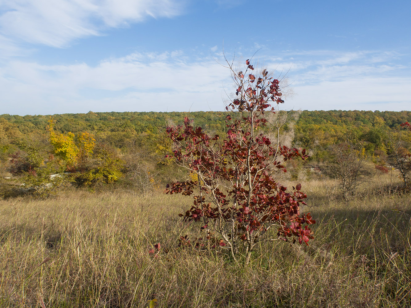 Карьер в Темрючках, image of landscape/habitat.