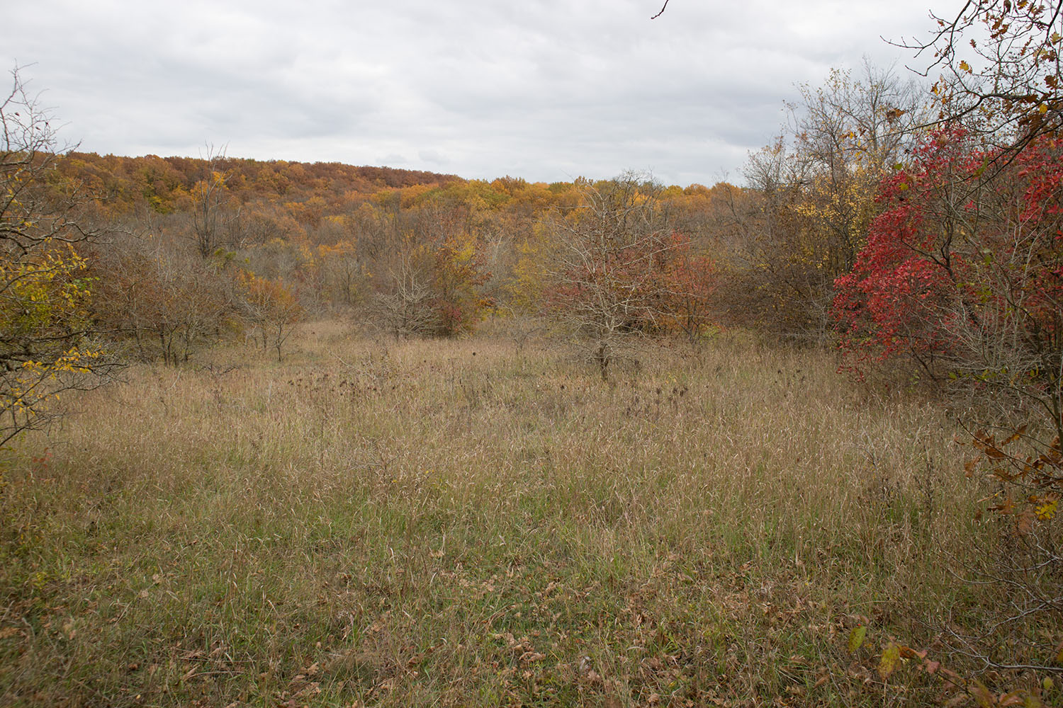 Темрючки, image of landscape/habitat.