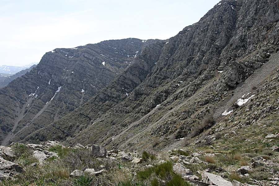 Горы Каракус, image of landscape/habitat.