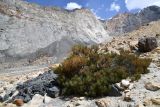 Image of landscape