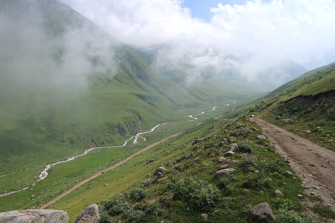 Чайнашки, image of landscape/habitat.