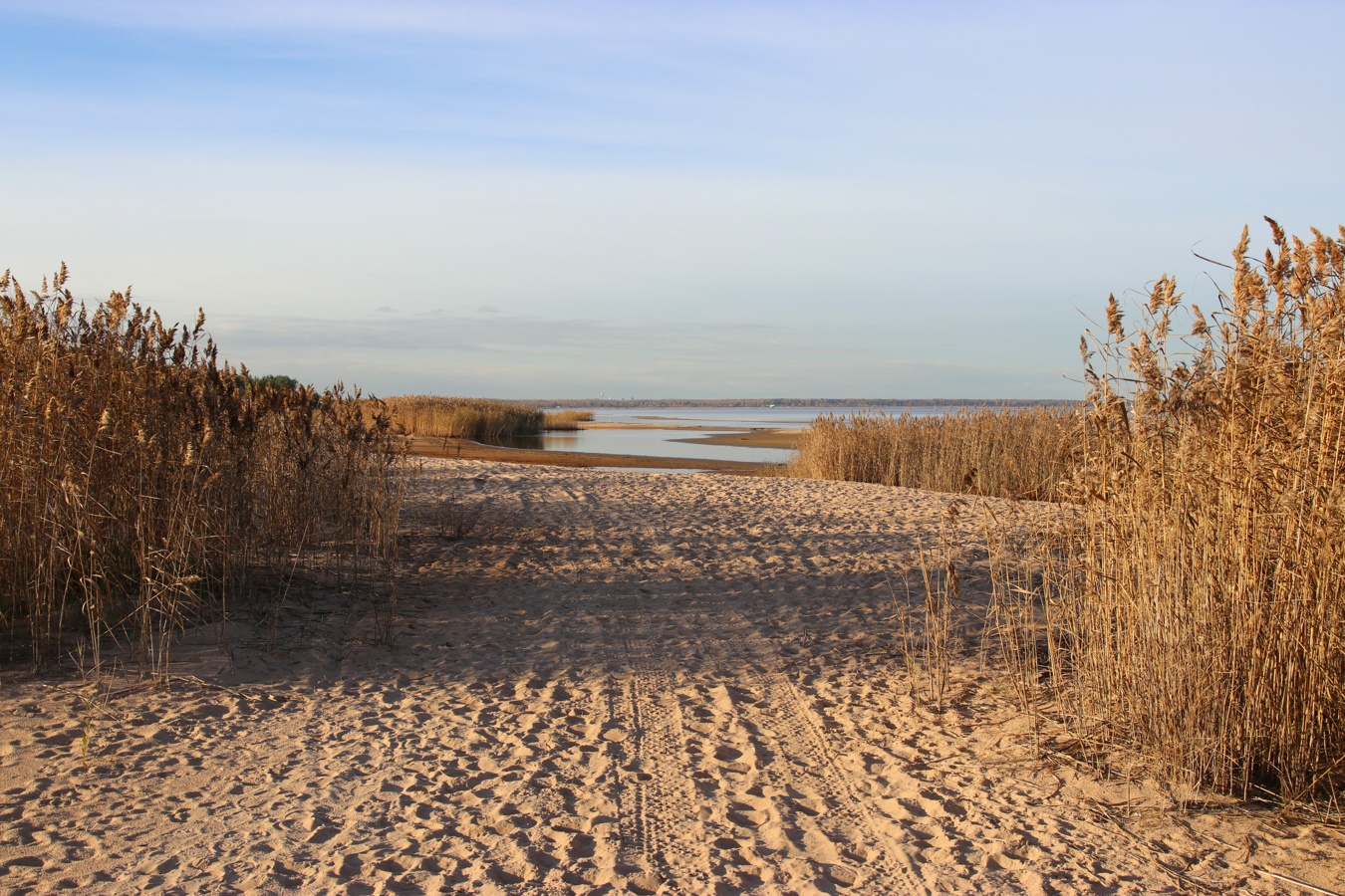 Окрестности Коккорево, изображение ландшафта.