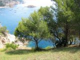 Image of landscape