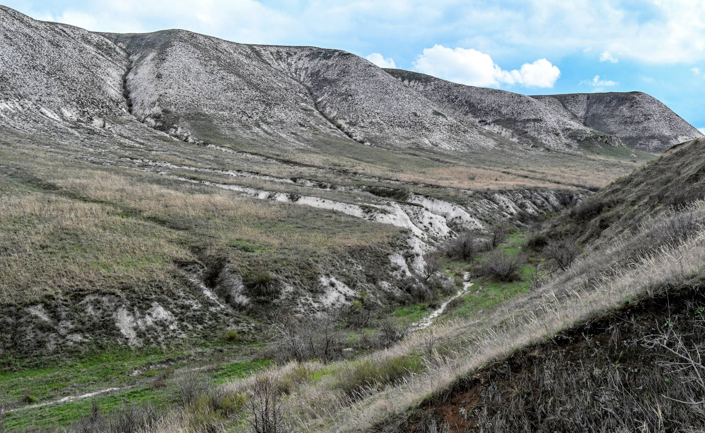 Природный парк "Донской", image of landscape/habitat.