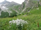Image of landscape