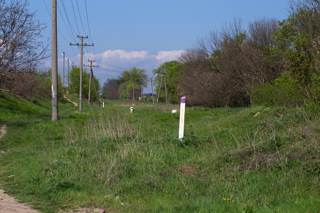 Окраина с. Новые Ботнарешты, image of landscape/habitat.