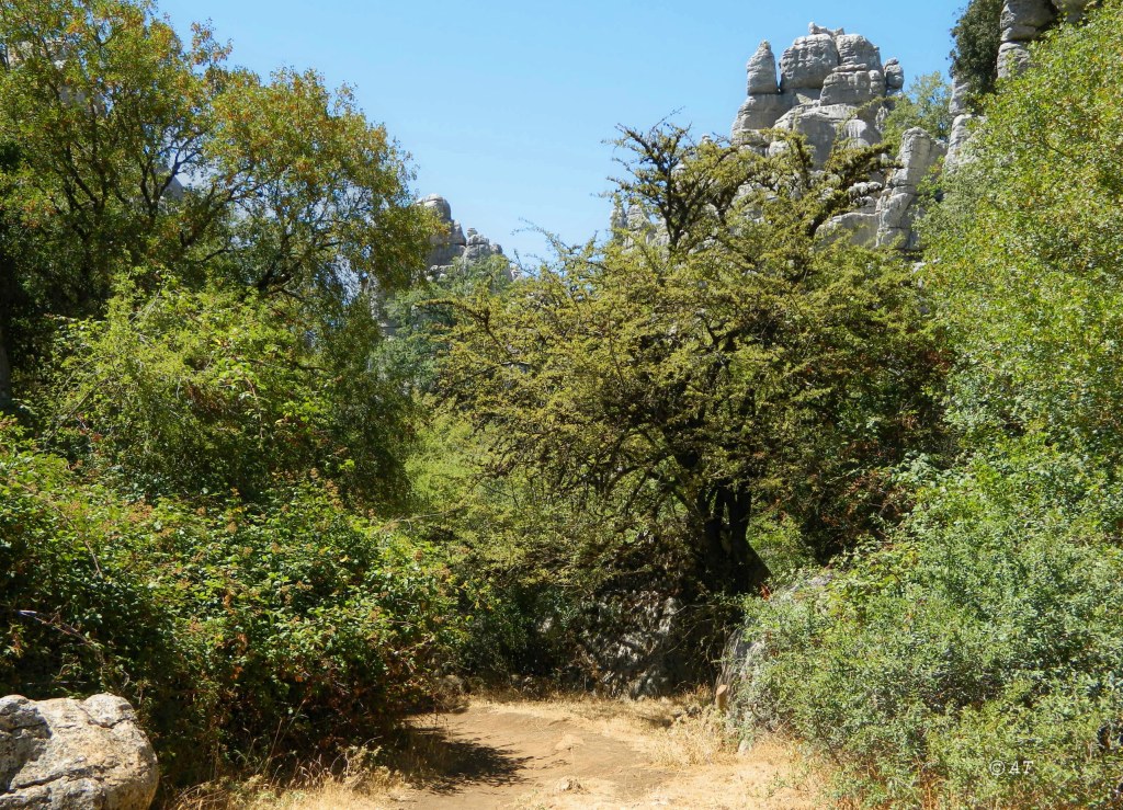 Торкаль-де-Антекера, image of landscape/habitat.