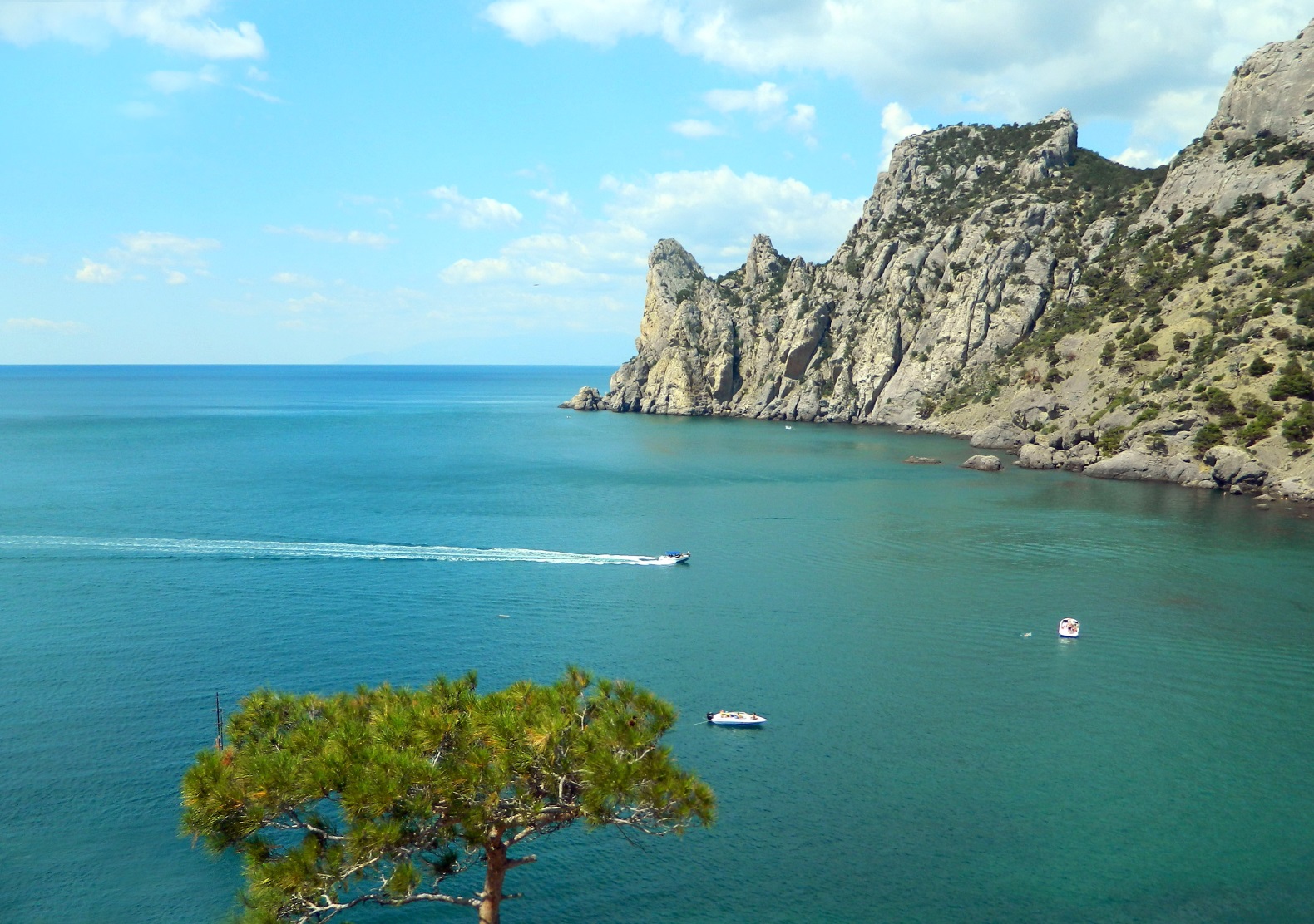 Новый Свет, image of landscape/habitat.
