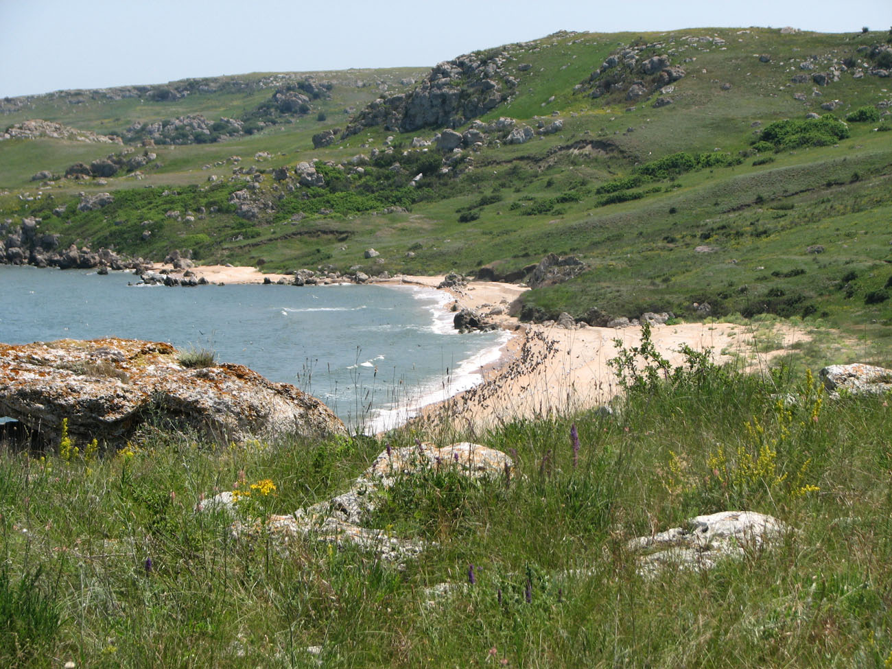 Караларская степь, image of landscape/habitat.