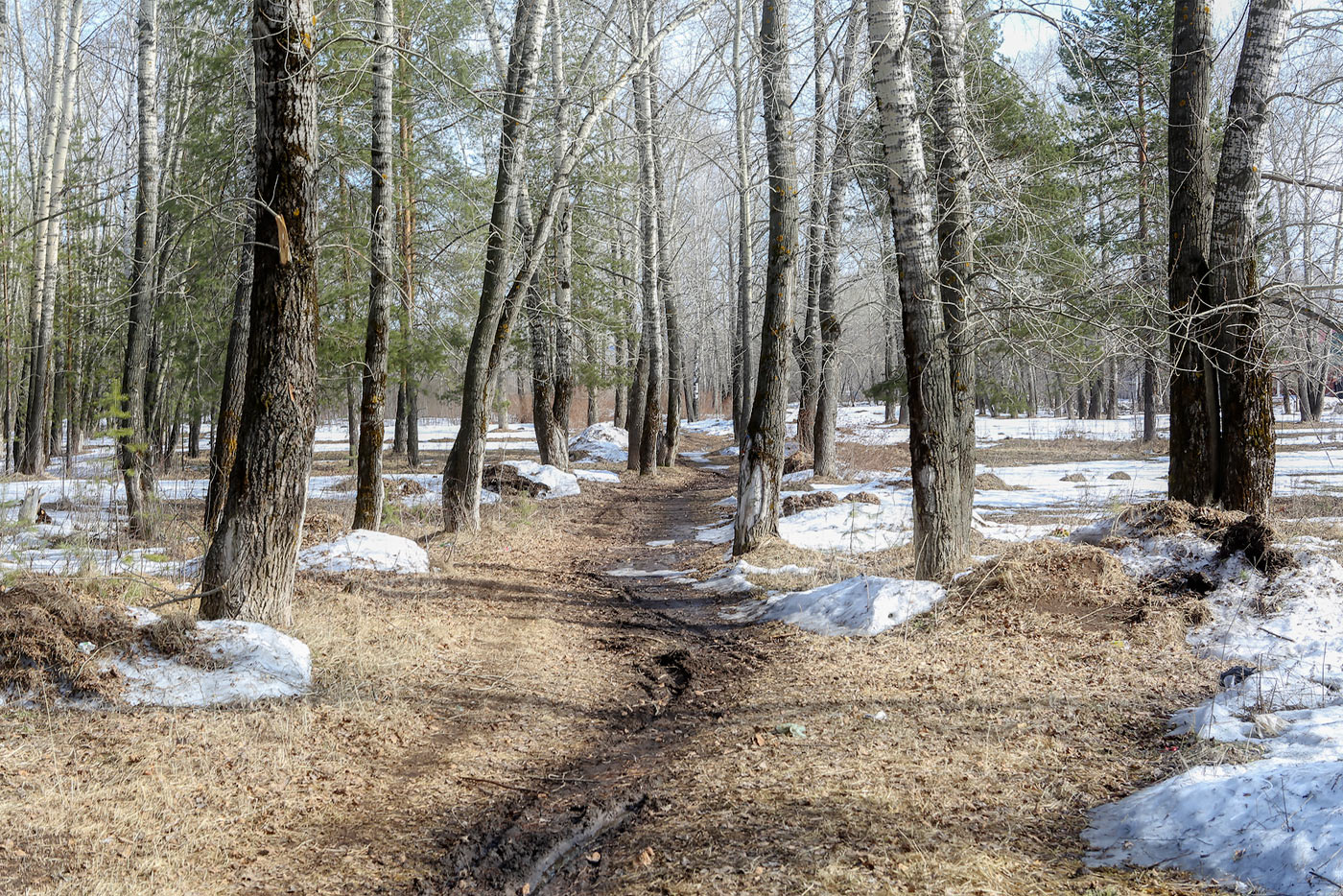 Закамск, image of landscape/habitat.