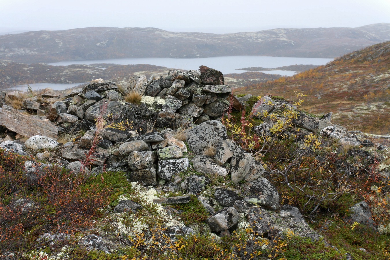 Высота 314.9, image of landscape/habitat.