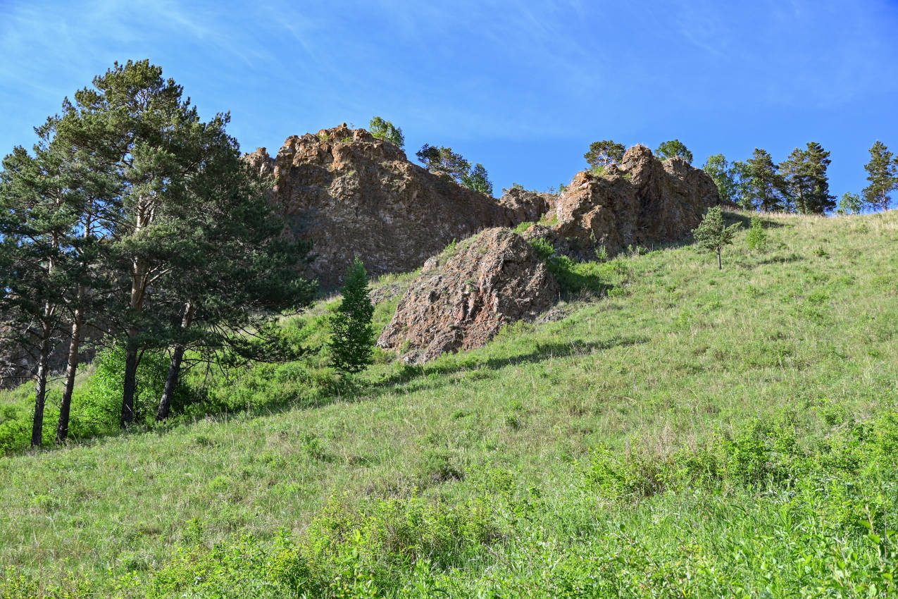 Красноярские Столбы, image of landscape/habitat.