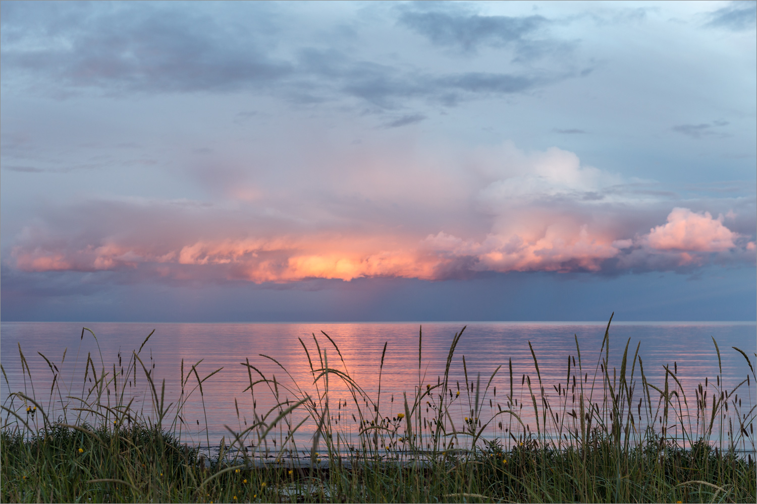 Мыс Носок, image of landscape/habitat.