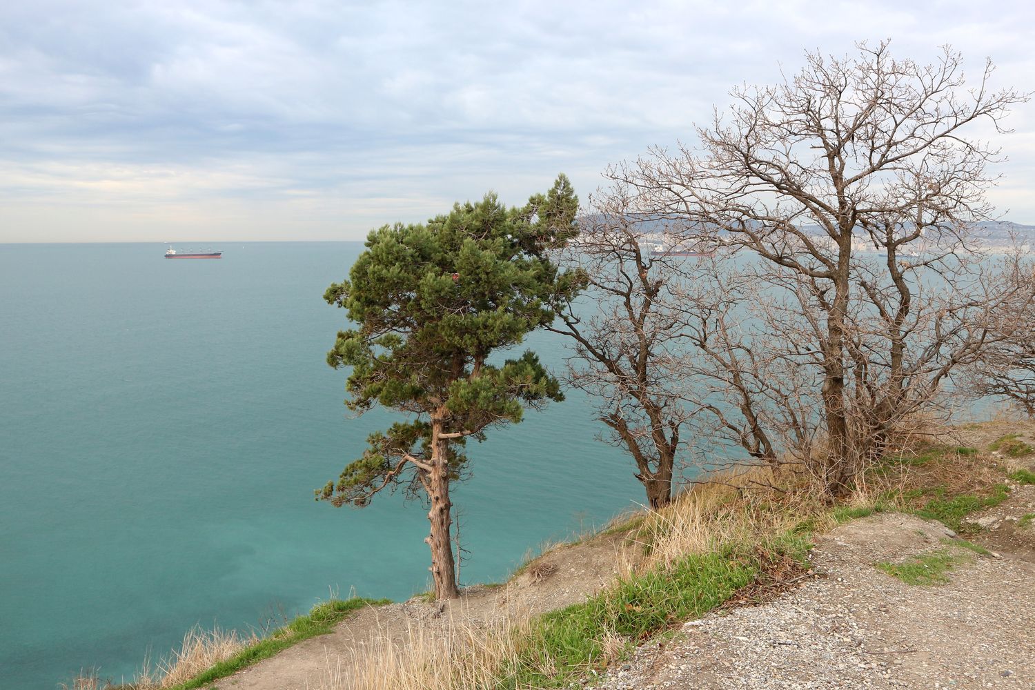 Берег моря у мыса Пенай, image of landscape/habitat.