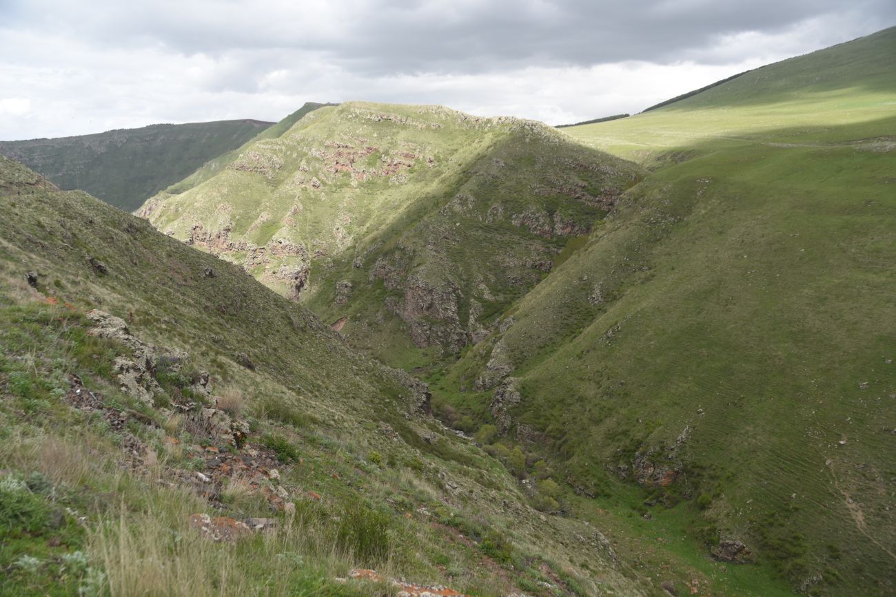 Окрестности Шайтан Калеси, image of landscape/habitat.