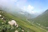Чайнашки, image of landscape/habitat.