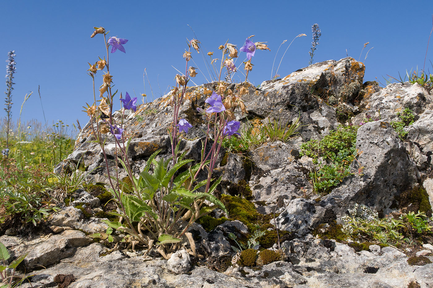 Каменное Море, image of landscape/habitat.