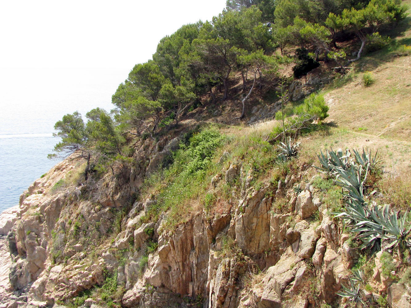 Тосса-де-Мар, image of landscape/habitat.