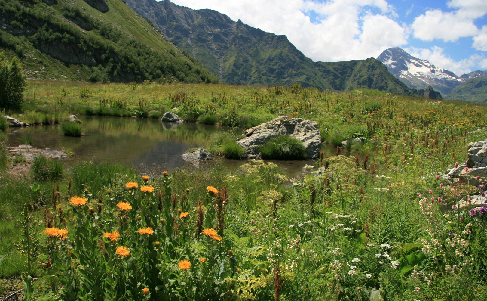 Хребет Ужум, image of landscape/habitat.