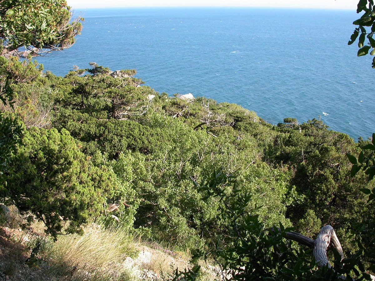 Батилиман, image of landscape/habitat.