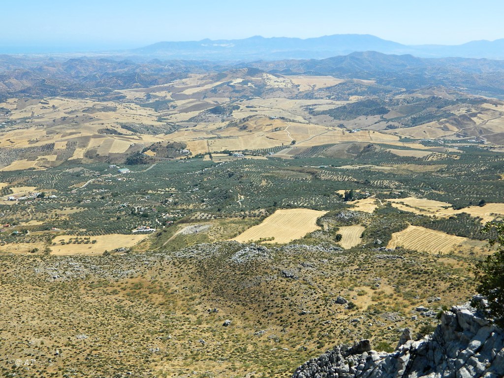 Торкаль-де-Антекера, image of landscape/habitat.