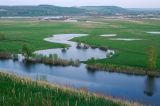 Image of landscape