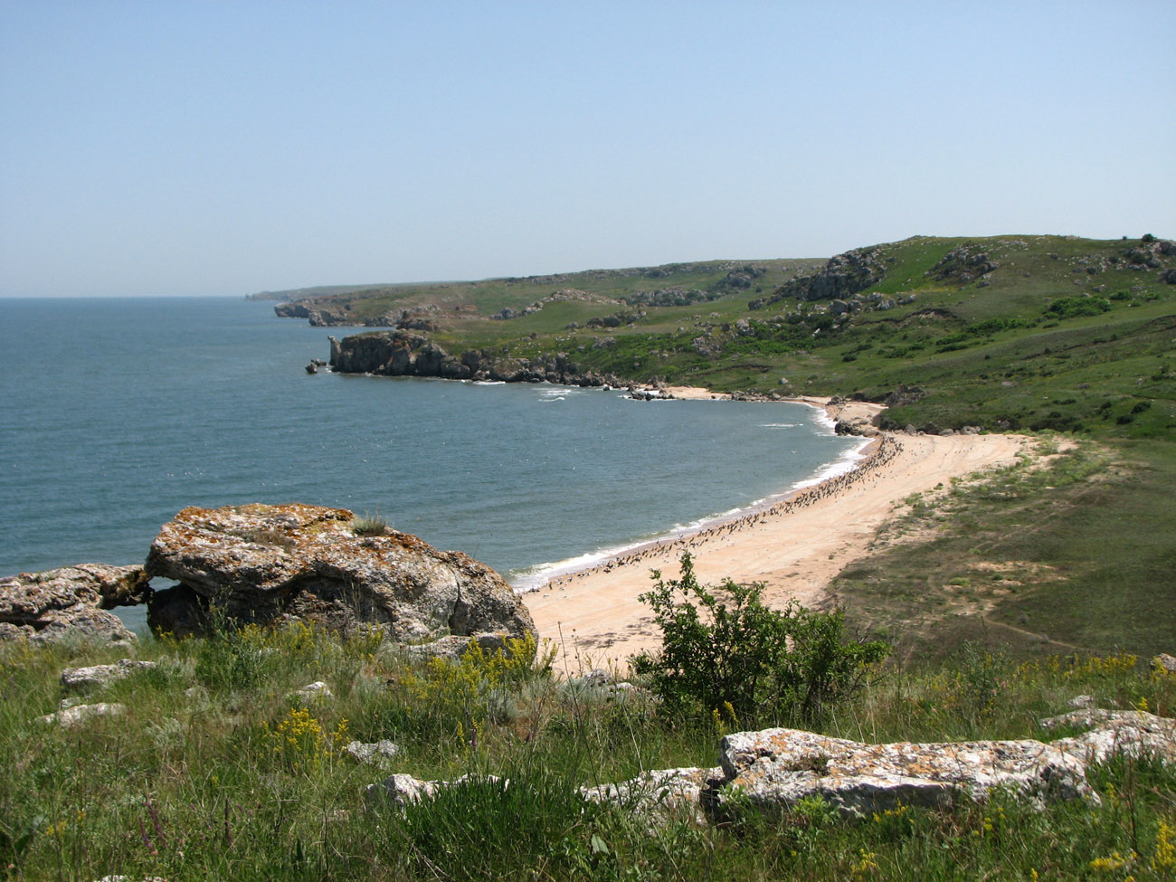 Караларская степь, изображение ландшафта.