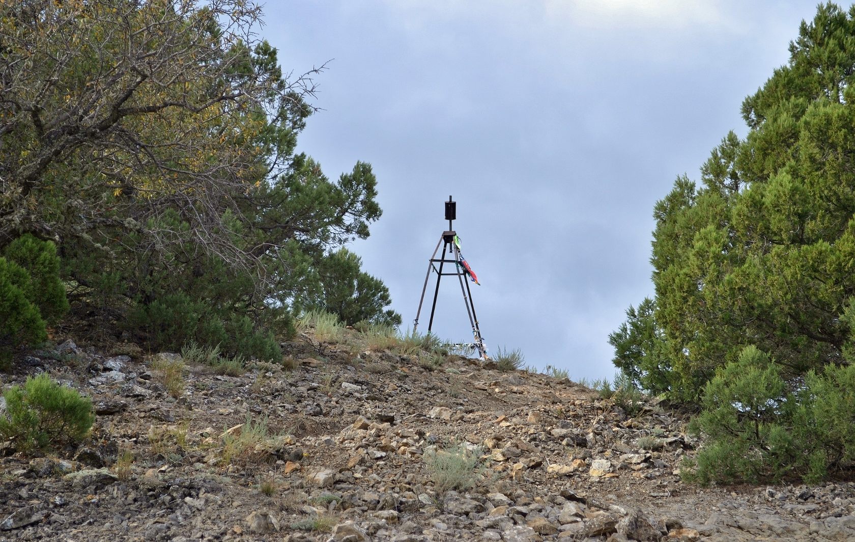 Караул-Оба, image of landscape/habitat.