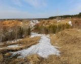 Image of landscape
