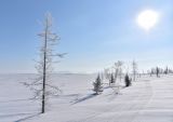 Озеро Мелкое, image of landscape/habitat.