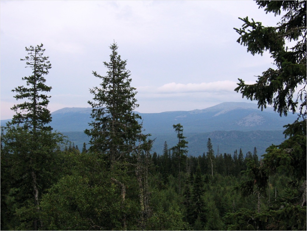 Зигальга, image of landscape/habitat.