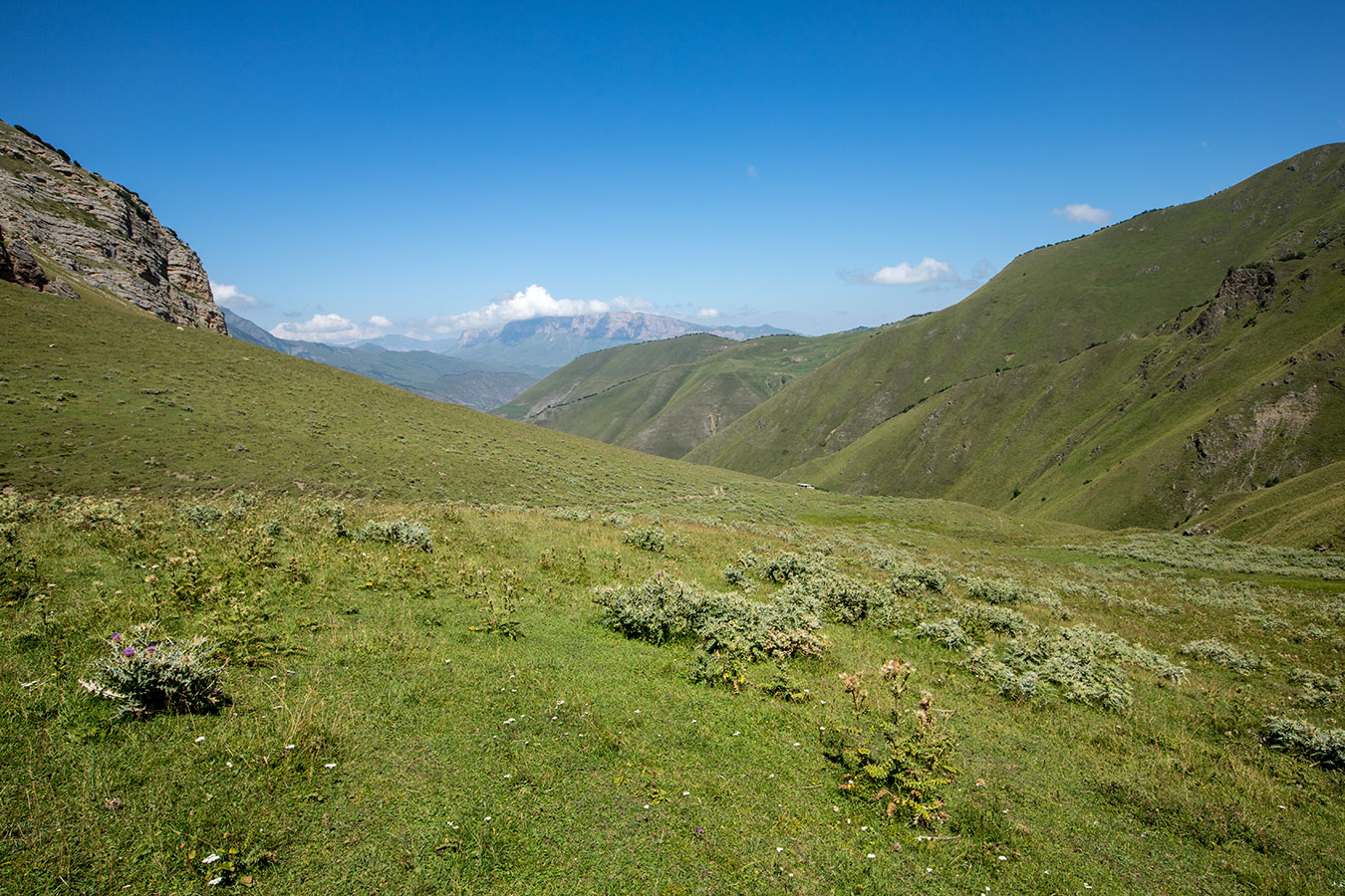 Перевал Шузулгу, image of landscape/habitat.