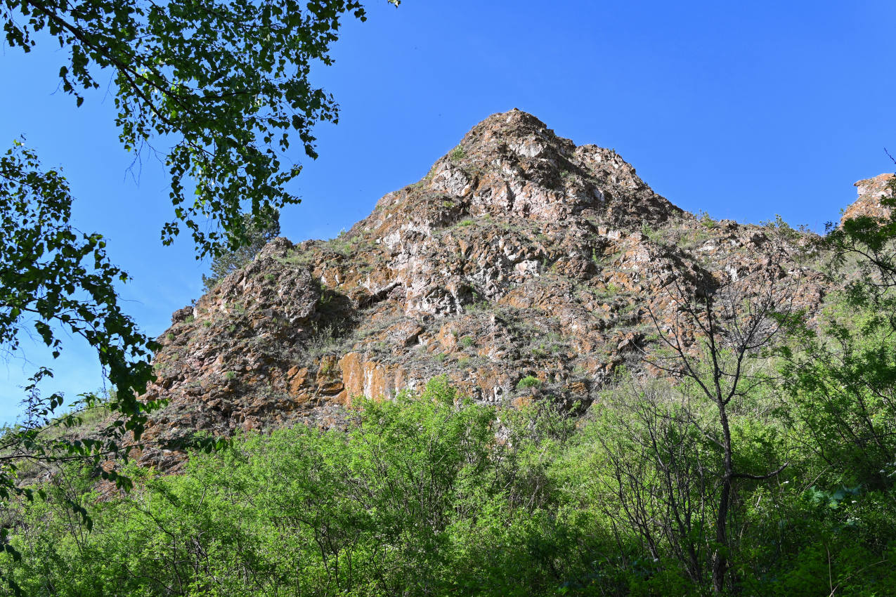 Красноярские Столбы, image of landscape/habitat.