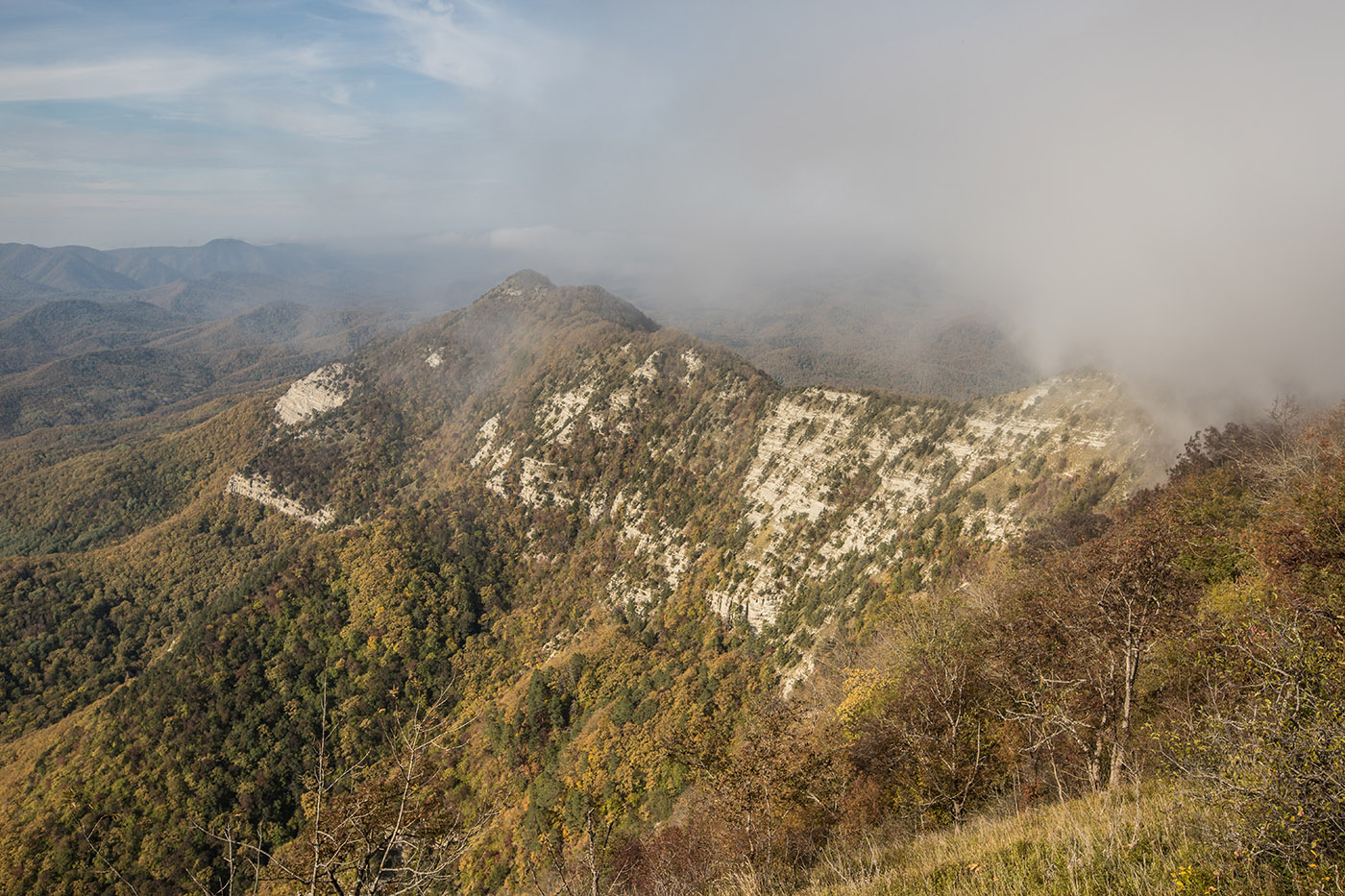 Папай, image of landscape/habitat.