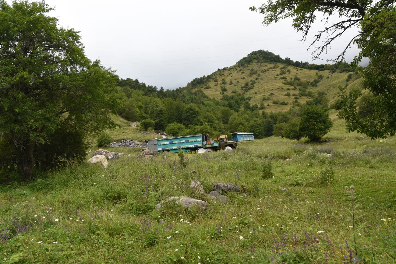 Нижний Кяхк и окрестности, image of landscape/habitat.