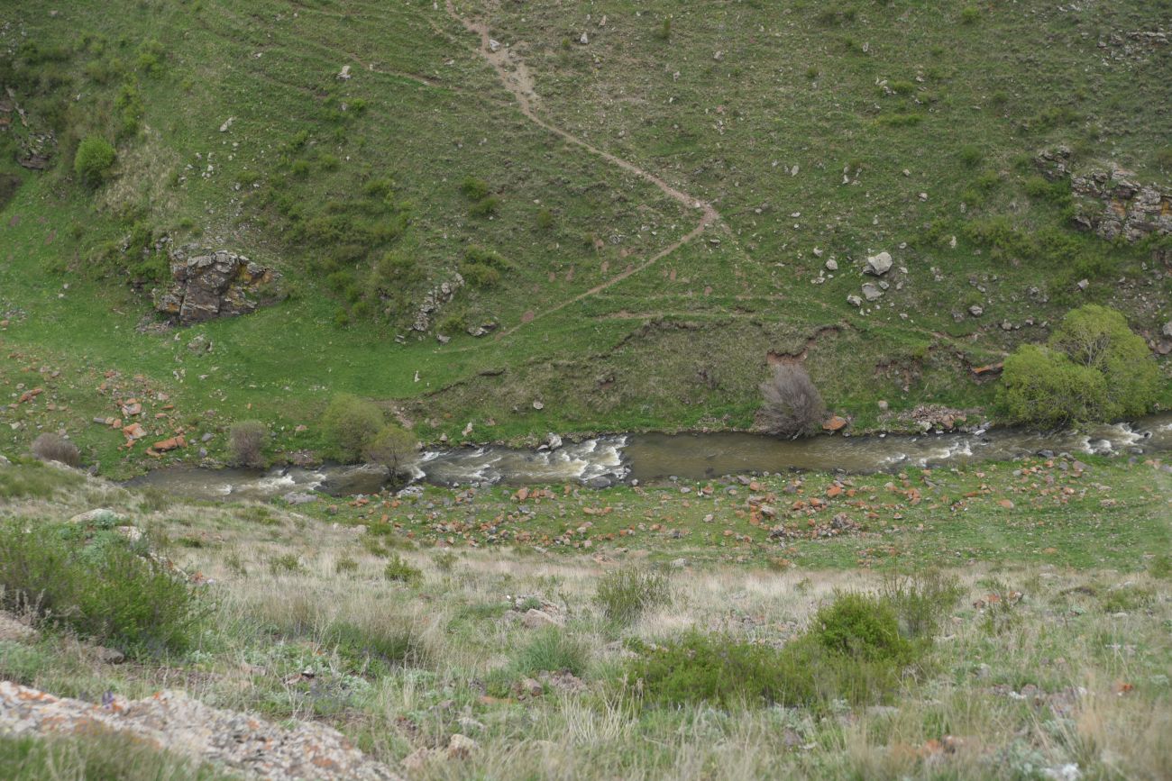 Окрестности Шайтан Калеси, image of landscape/habitat.